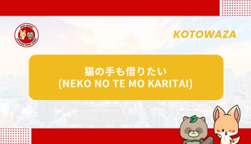 Kotowaza - NEKO NO TE MO KARITAI
